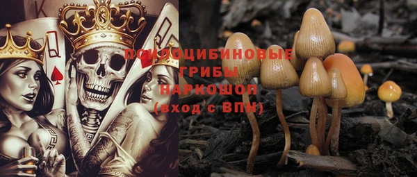 скорость Горно-Алтайск