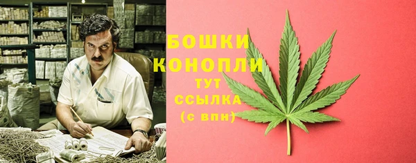 прущий лед Горняк